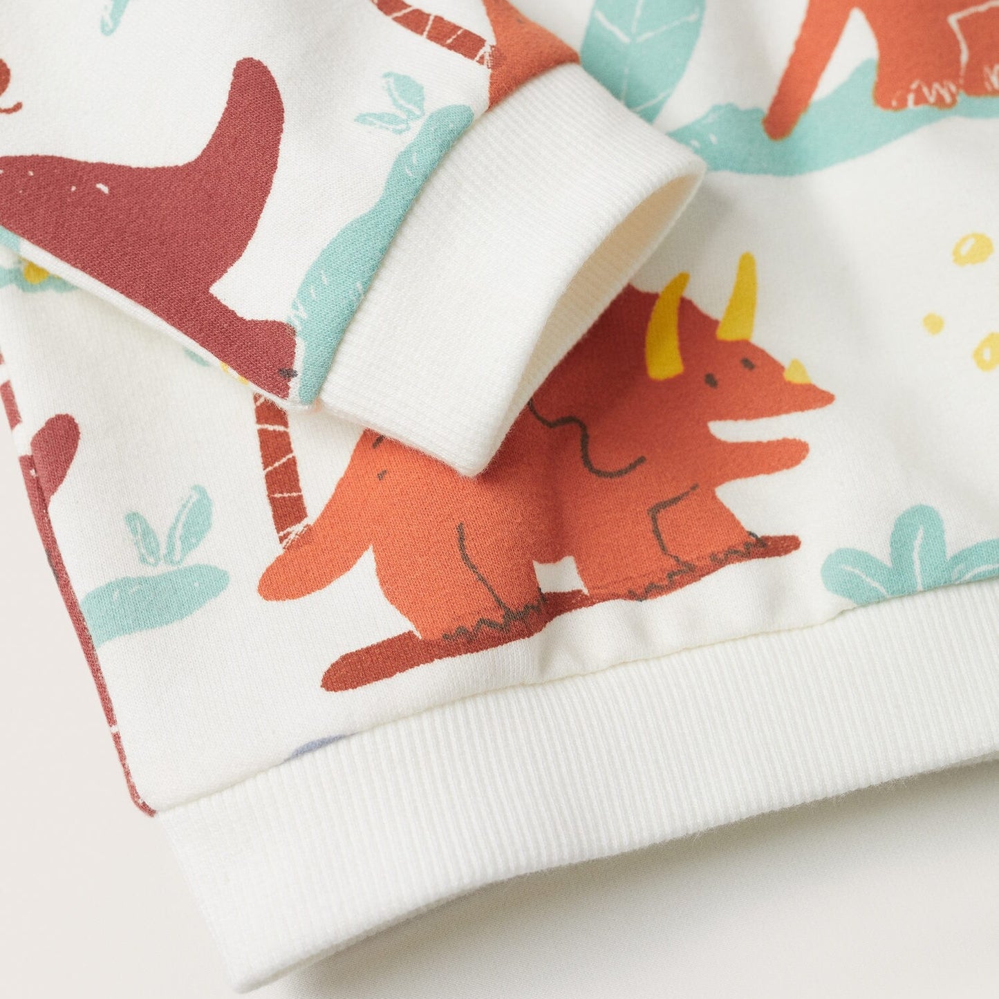 DINOSAURS SWEATSHIRT