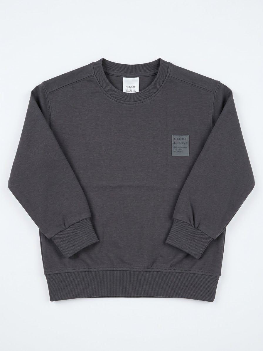 DARK GRAY SWEATSHIRT-ZRA