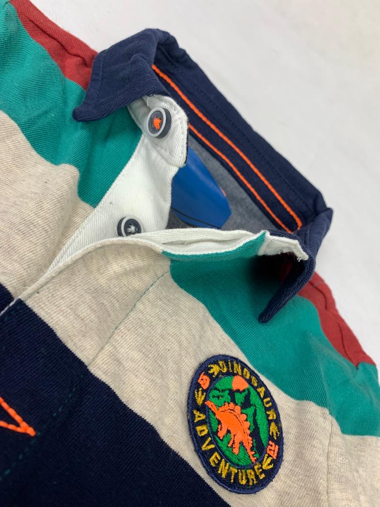 MULTI COLOR POLO SHIRT