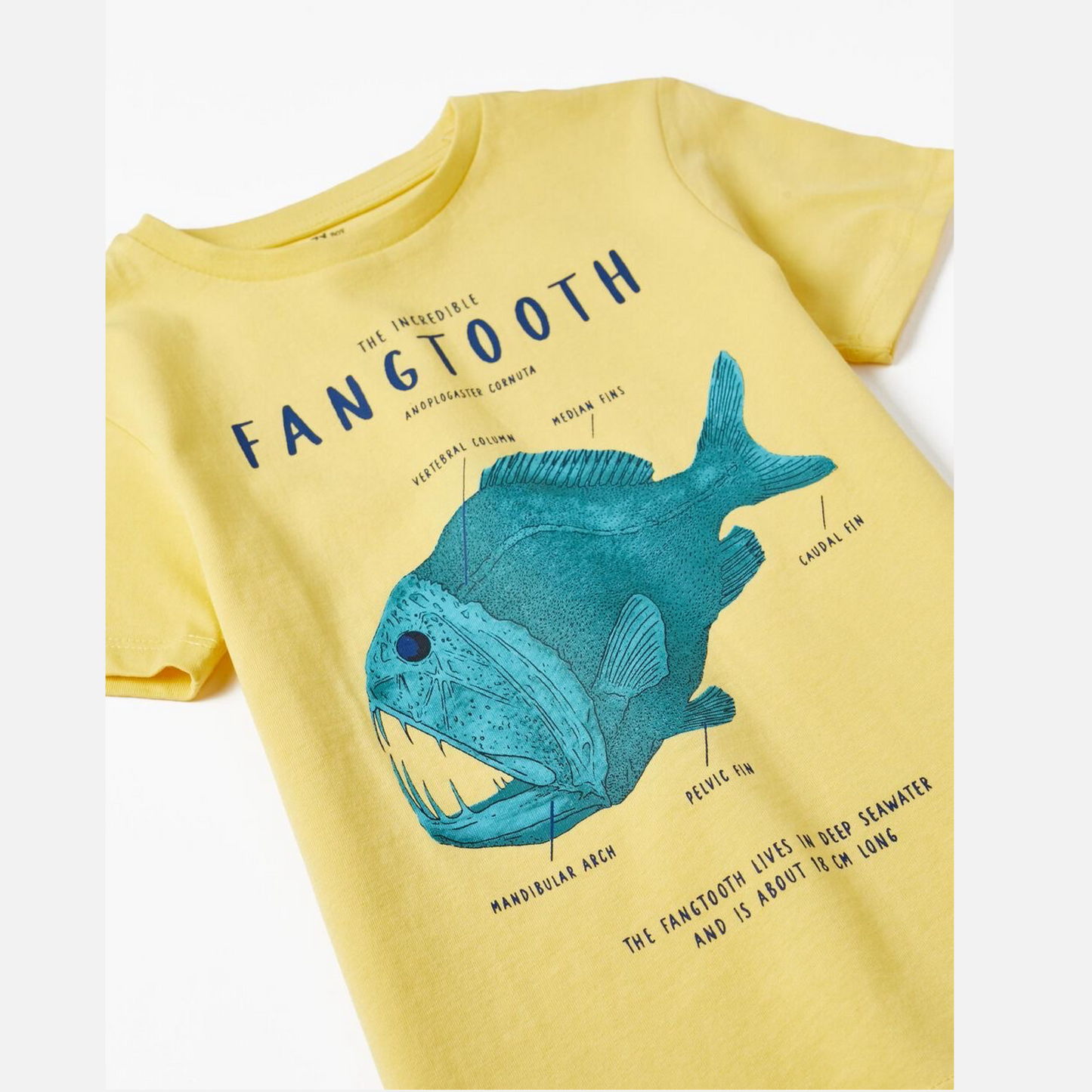 Fang tooth t-shirt