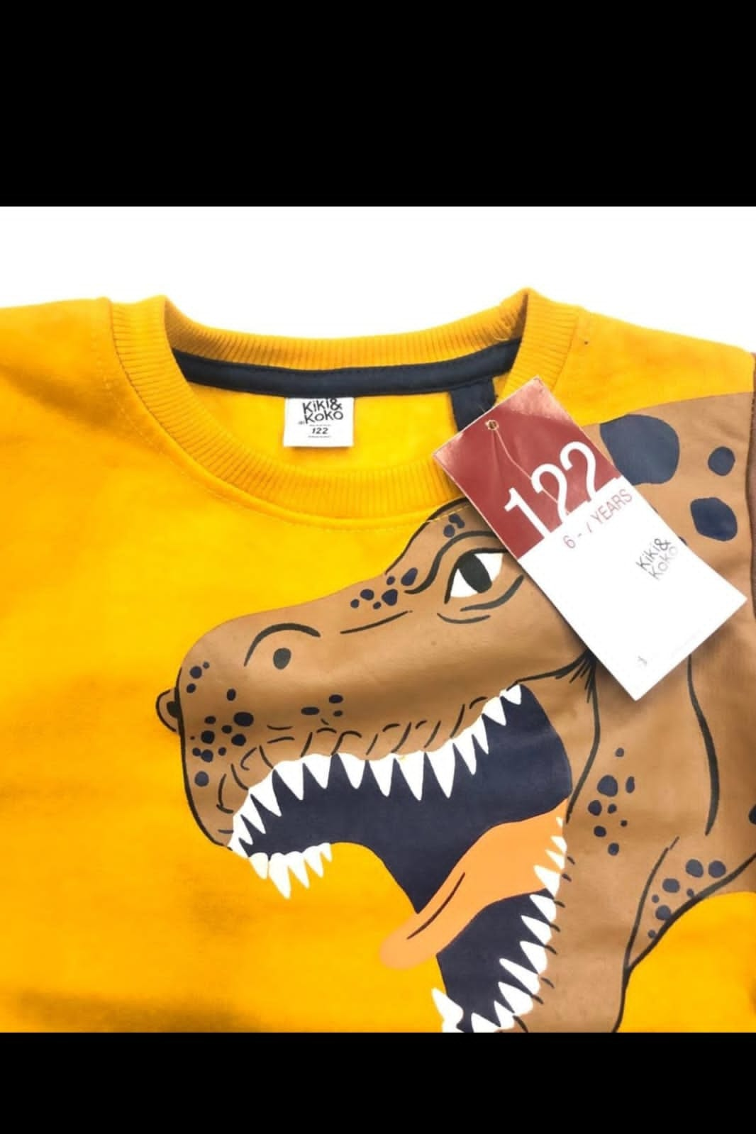 DINO SWEATSHIRT