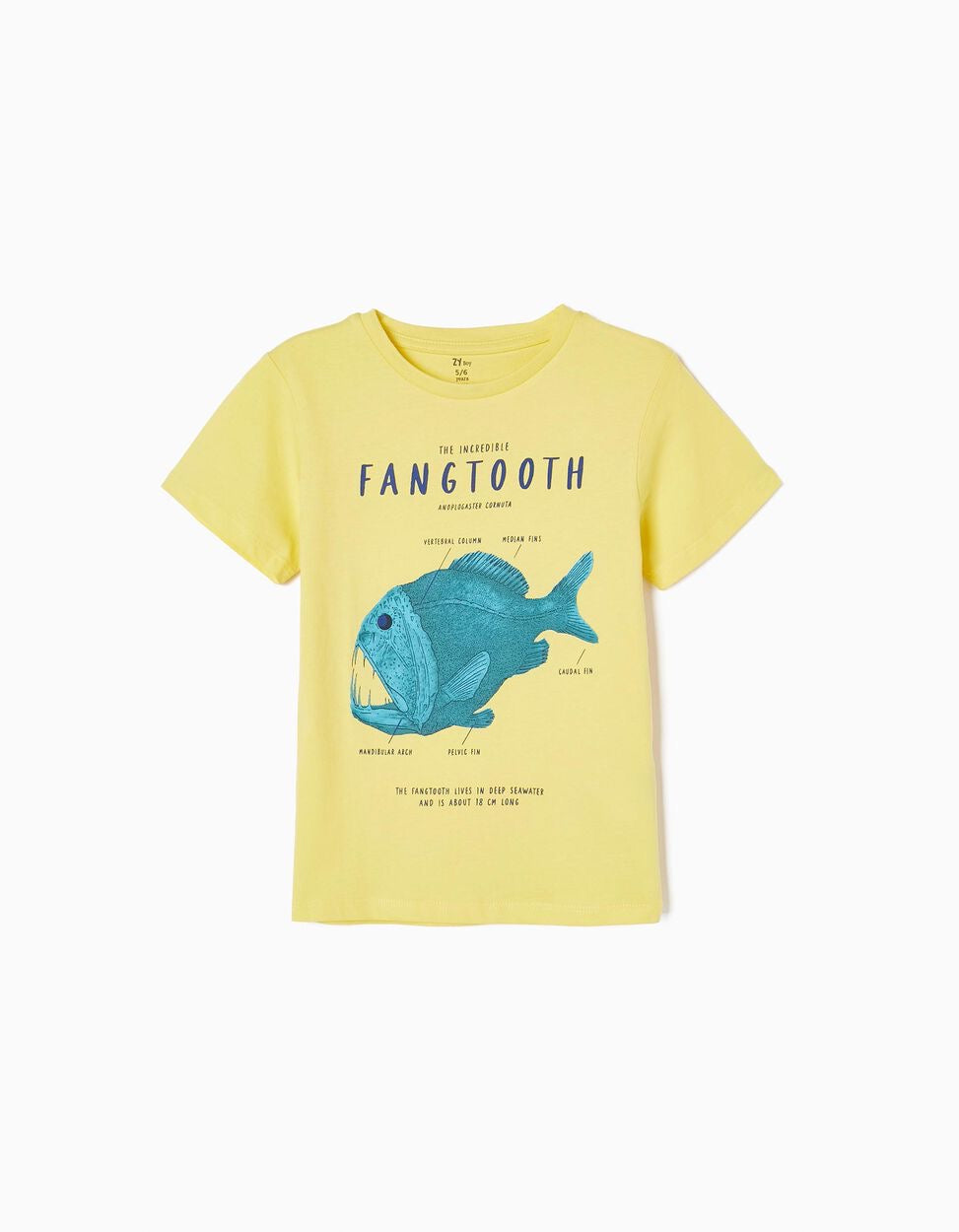 Fang tooth t-shirt