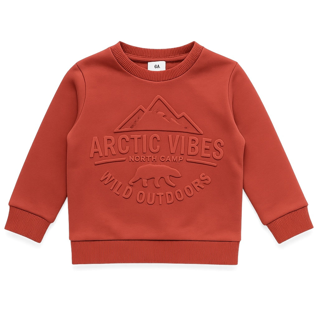 ARCTIC VIBES SWEATSHIRT