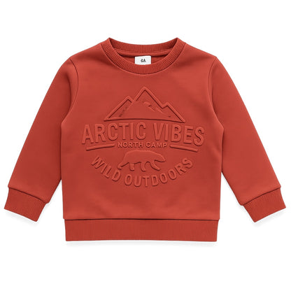 ARCTIC VIBES SWEATSHIRT