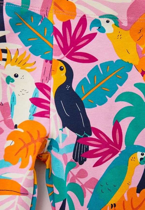 Dodo Bird capri