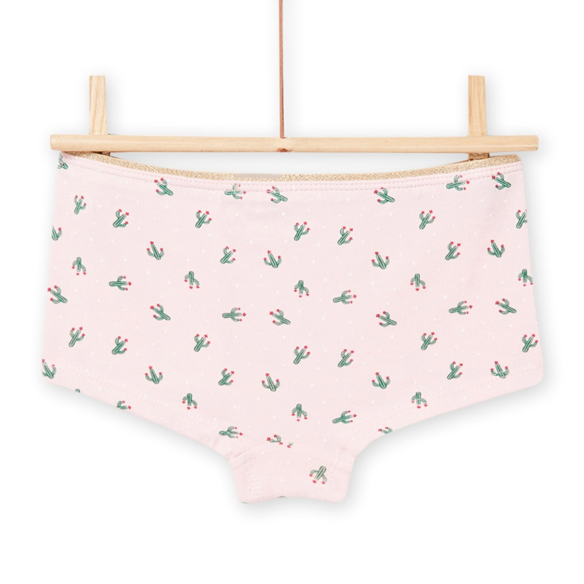 Cactus print boxer