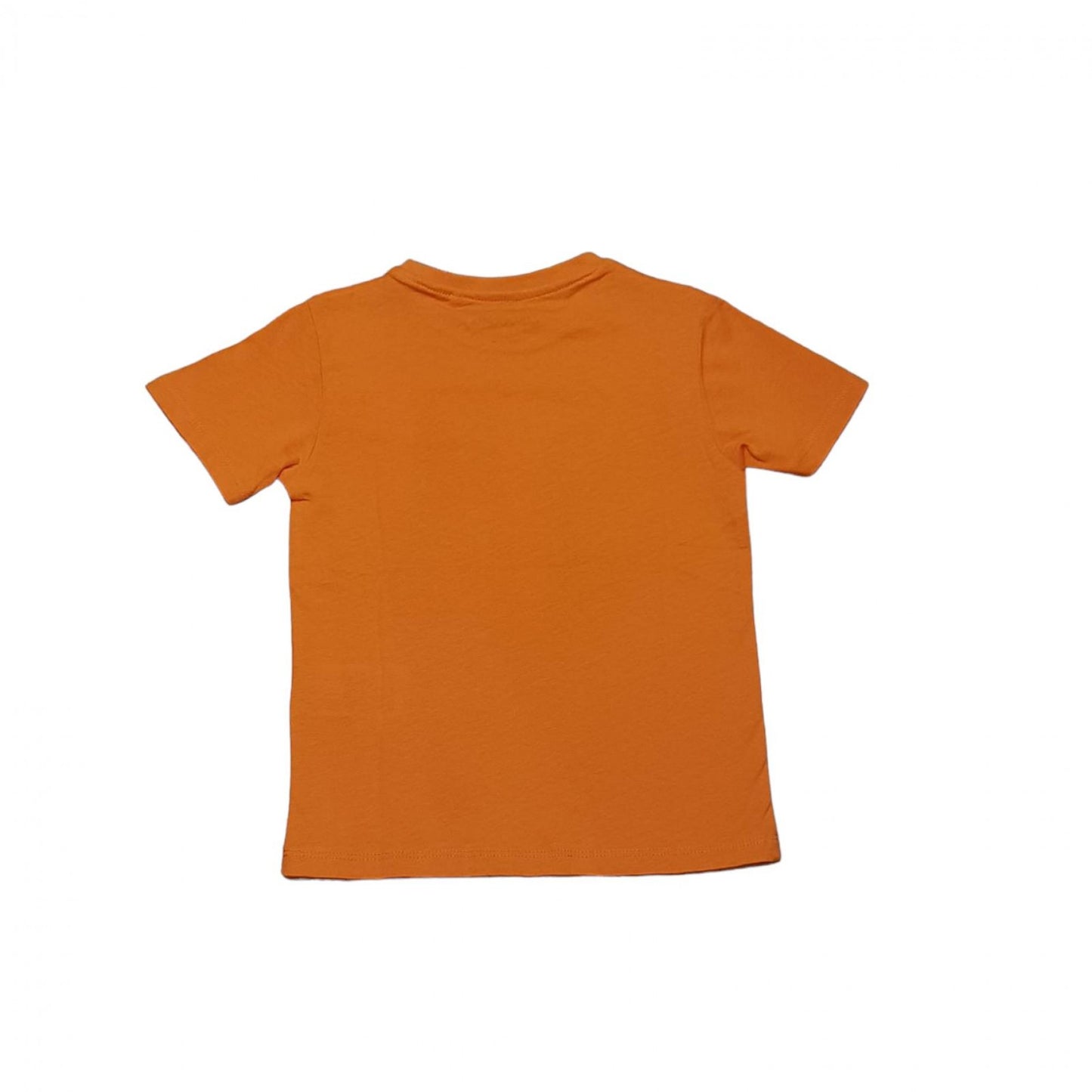 Skateboard guide orange t-shirt