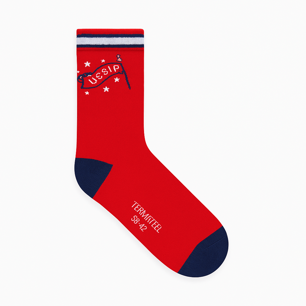 STRIPE RED SOCKS
