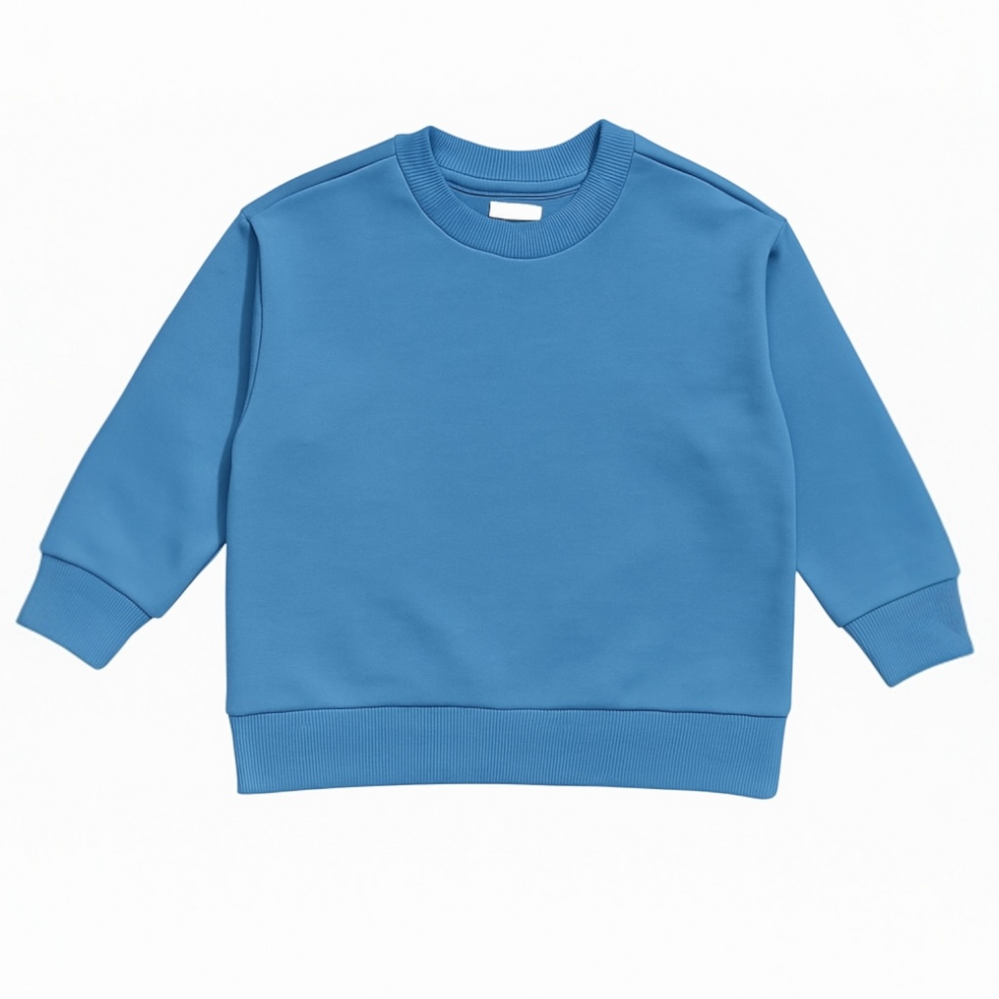 PLAIN BLUE SWEATSHIRT