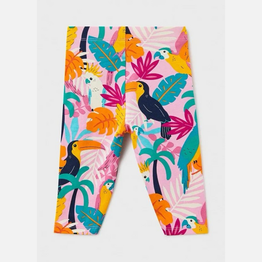 Dodo Bird capri