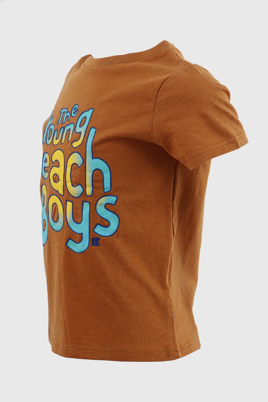 The young beach boys t-shirt