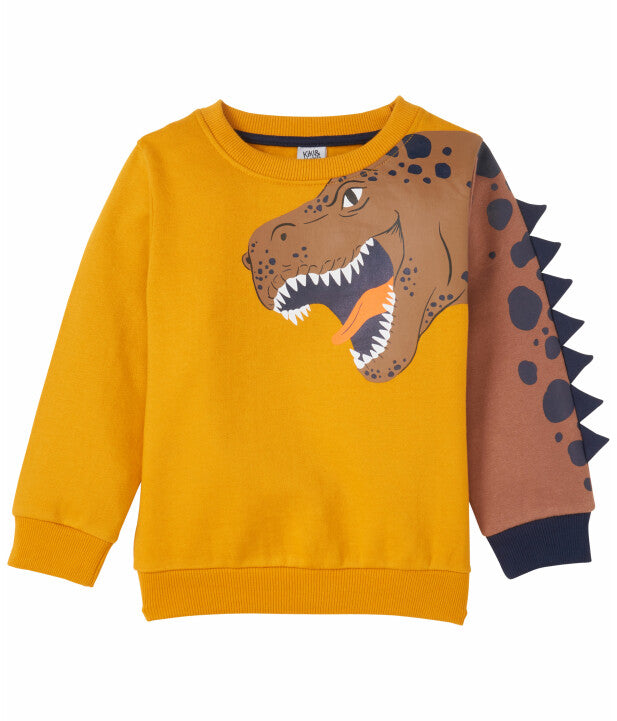 dino sweatshirt – Perky labels