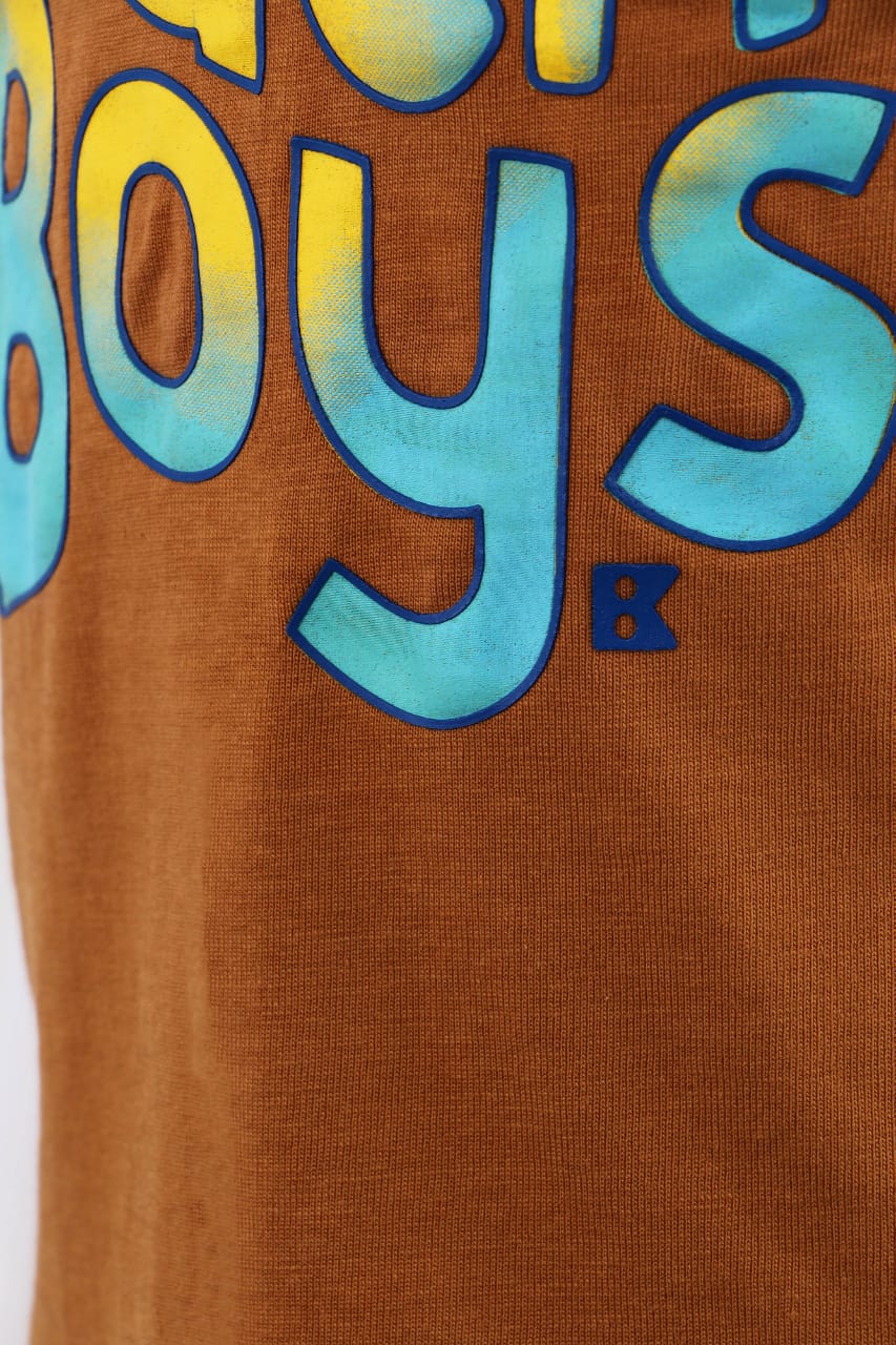 The young beach boys t-shirt