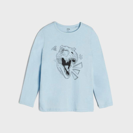 Light blue dino t-shirt