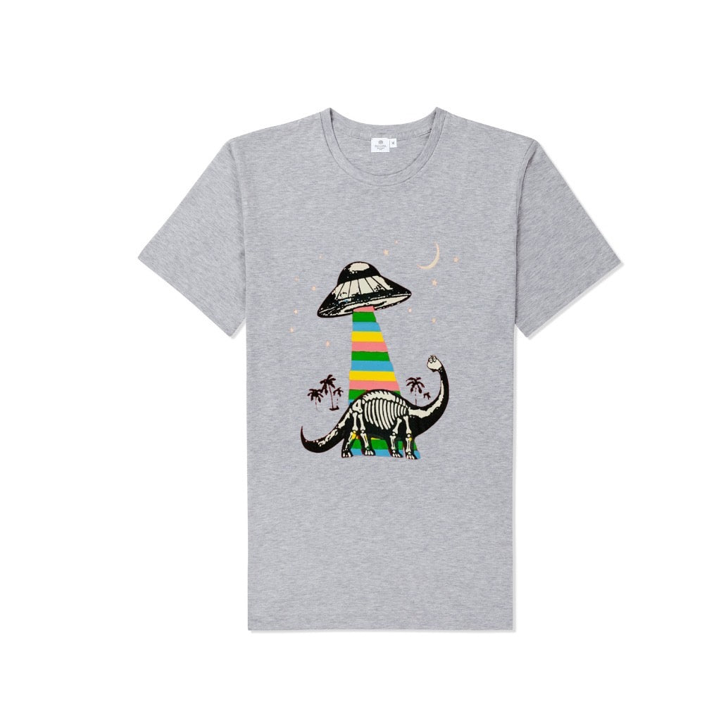 Dino mushroom grey t-shirt