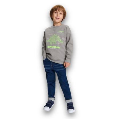 DINOSAUR SWEATSHIRT