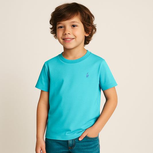 Embroidery Light Blue T-shirt
