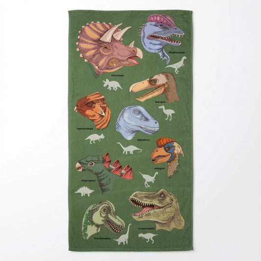 Raptor Beach Towel