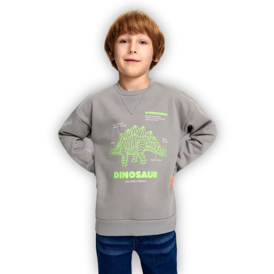 DINOSAUR SWEATSHIRT