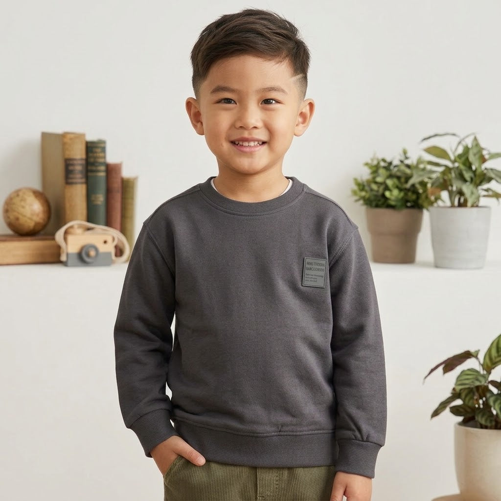 DARK GRAY SWEATSHIRT-ZRA