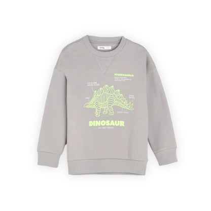 DINOSAUR SWEATSHIRT